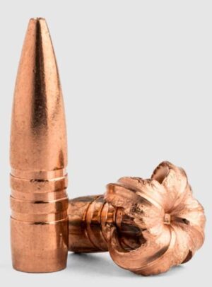 カッパーブレット画像