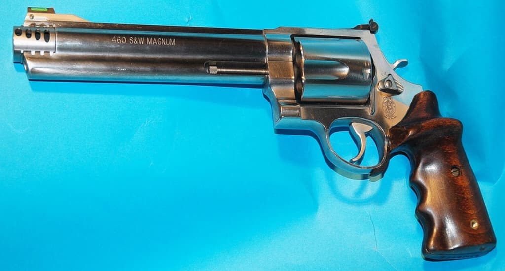 S&W .460画像