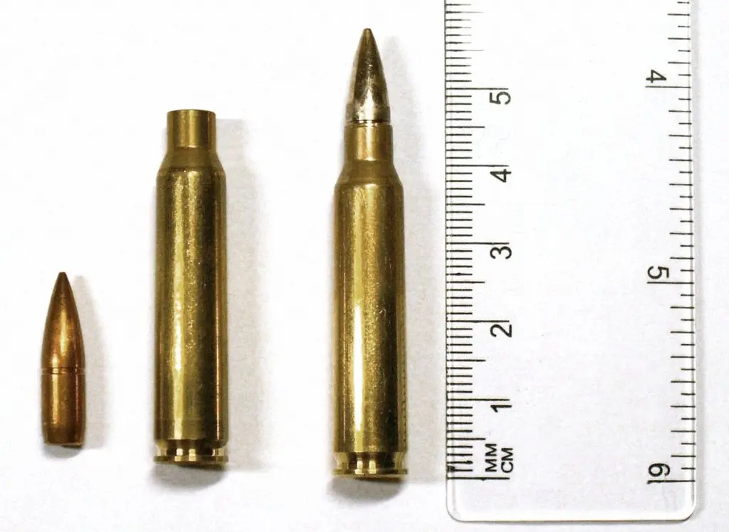 5.56mm NATO弾画像
