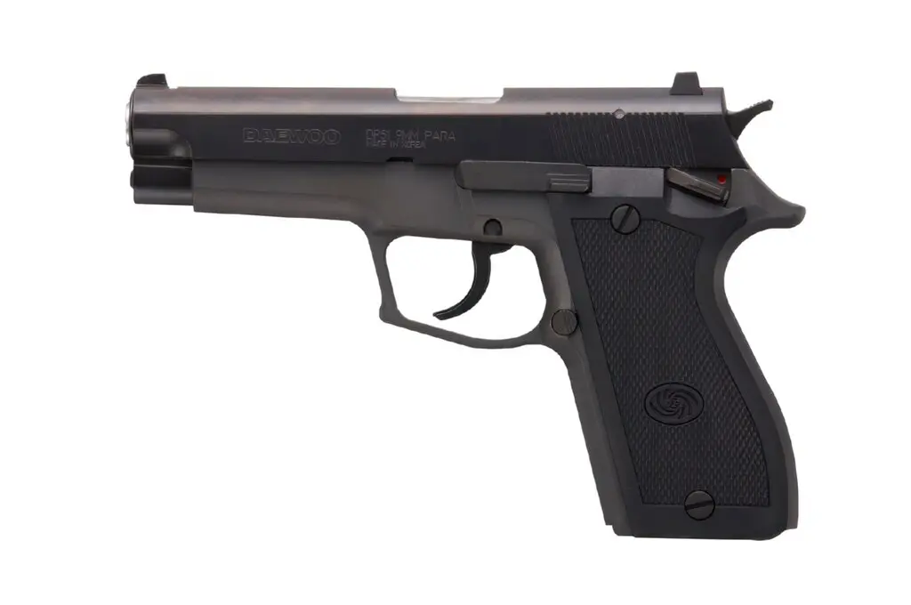 DP51画像