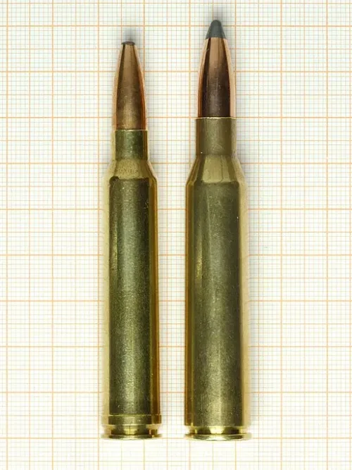 .300ウィンチェスターマグナムと.338ラプアマグナムの画像