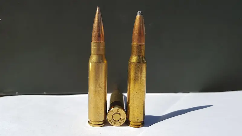 .308ウィンチェスター画像