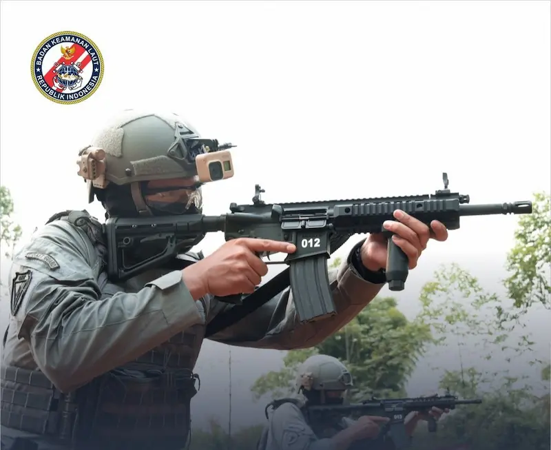 DSAR15Pライフル